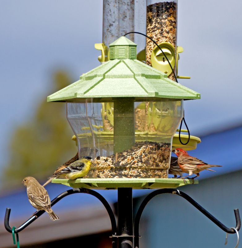 Bird Feeder Mounting Service