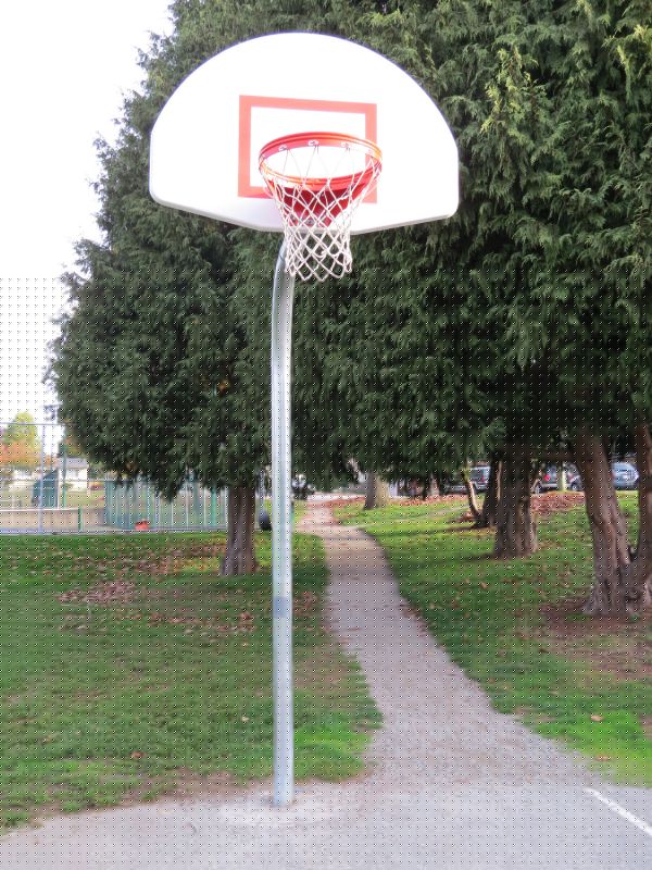 Hanging Basket Installation