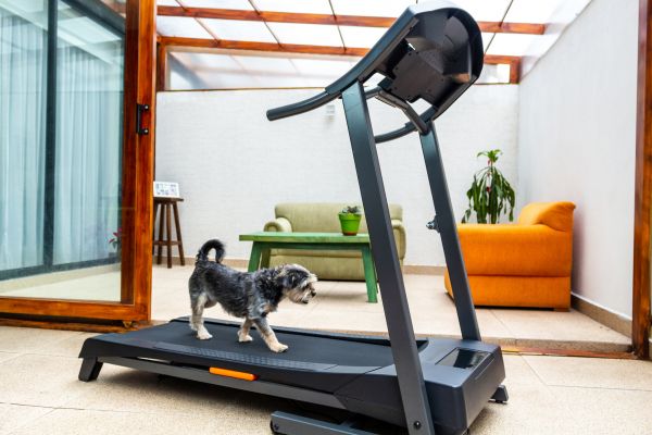 Treadmill Installation in Brick