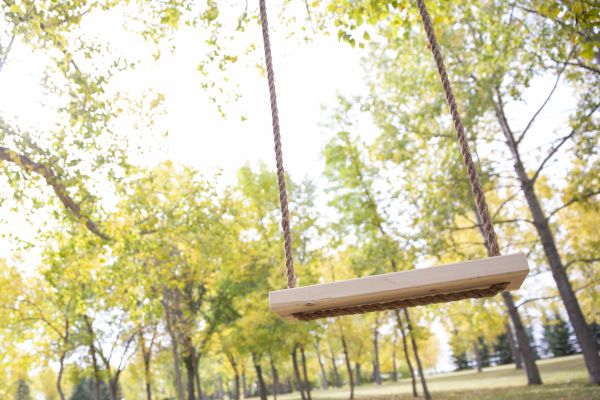 Tree Swing Installation in Brick