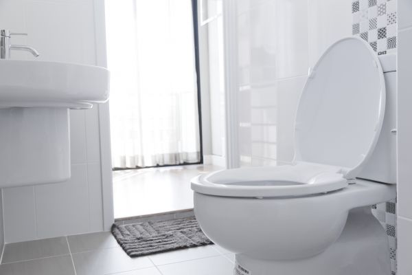 Toilet Seat Installation in Brick