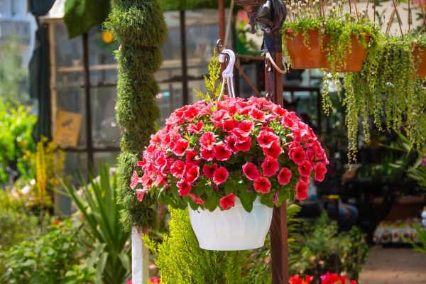 Hanging Planter Installation in Brick