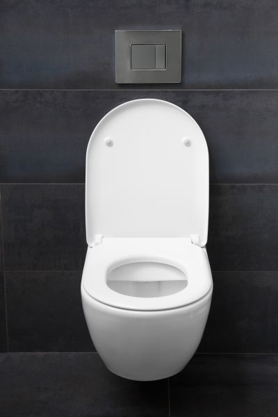 Toilet Lid Installation in Brick