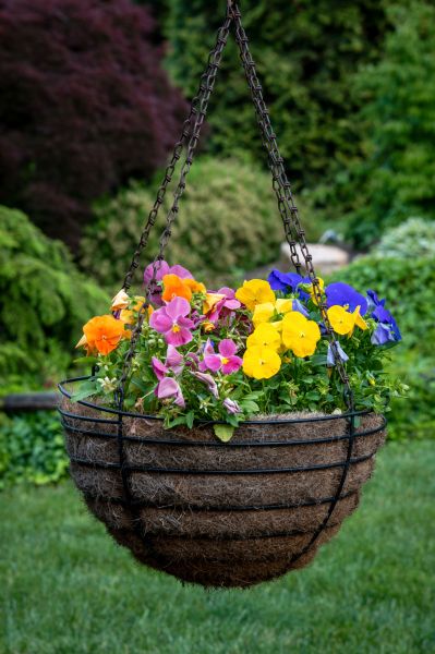 Hanging Basket Installation in Brick