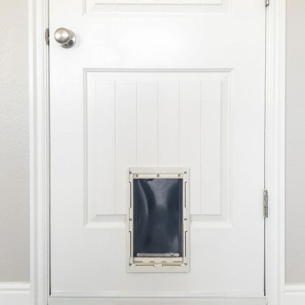 Pet Door Repair in Brick