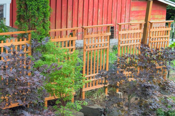Wood Trellis Mounting in Brick