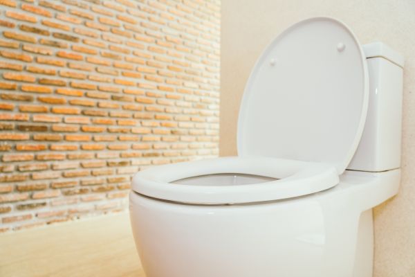 Toilet Seat Repair in Brick